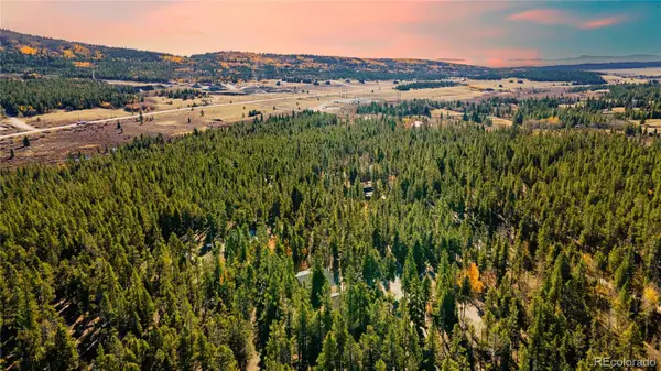 235 Willow Lane, Fairplay, CO 80440