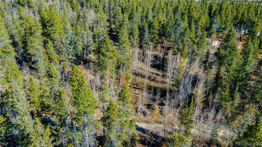 235 Willow Lane, Fairplay, CO 80440 - Image #2