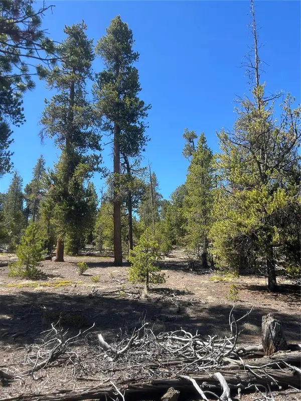 266 Ponderosa Drive, Leadville, CO 80461