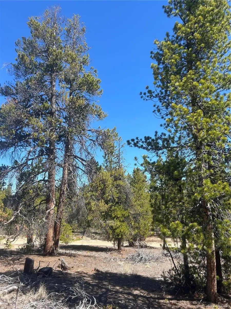 266 Ponderosa Drive, Leadville, CO 80461 - #3