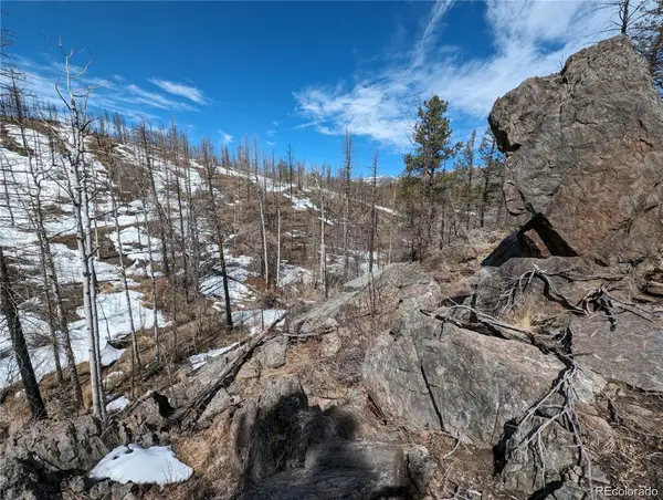 60 Powder Horn Trail, Bellvue, CO 80512