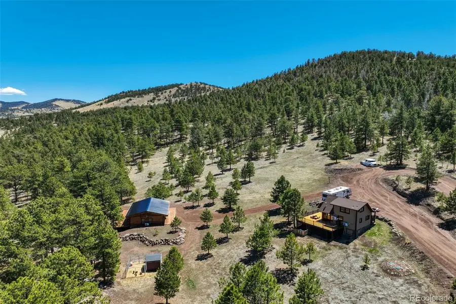 1726 County Road 104, Guffey, CO 80820 - #3