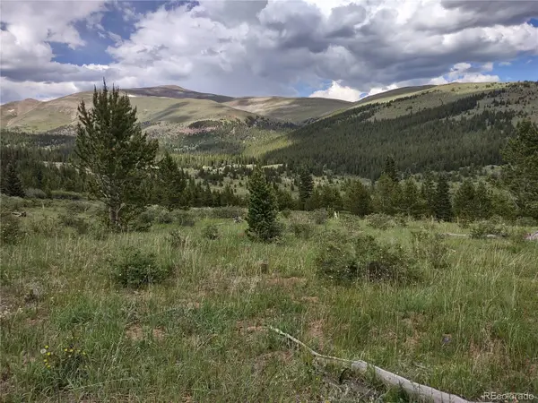 0 Snow Cap Peaks Road, Alma, CO 80402