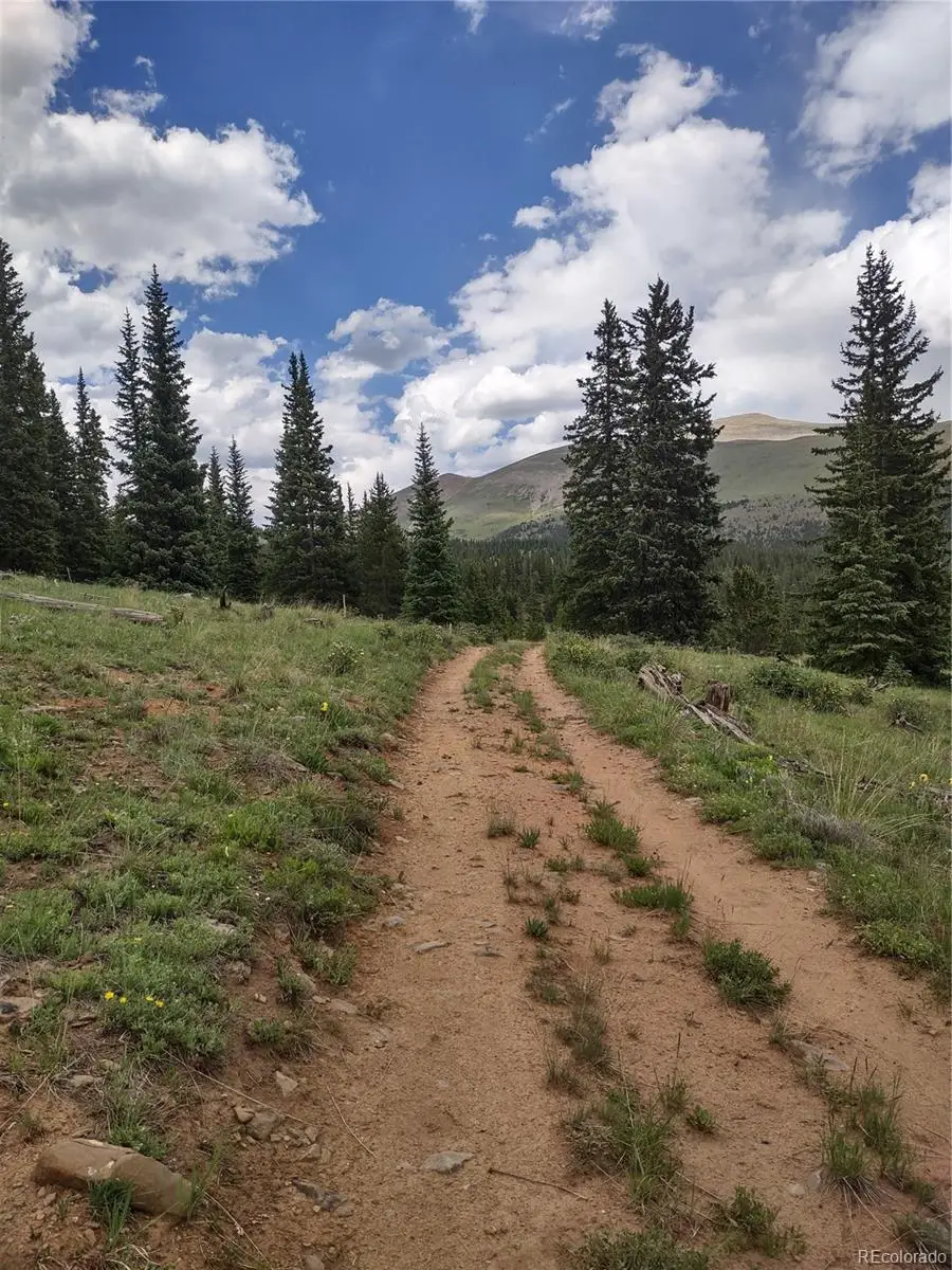 0 Snow Cap Peaks Road, Alma, CO 80402 - #3