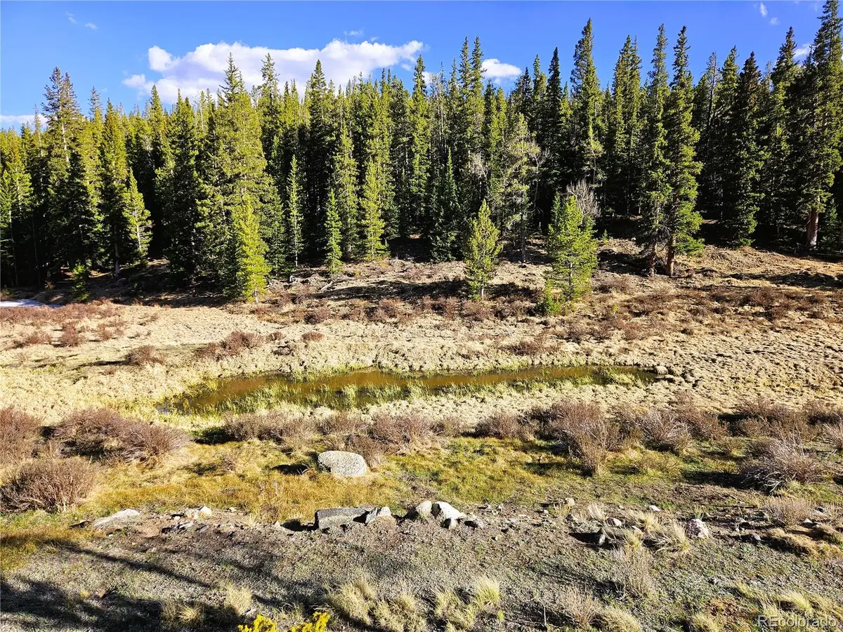 PCS#7765 & 12057 Rollies Trail, Alma, CO 80420 - #1