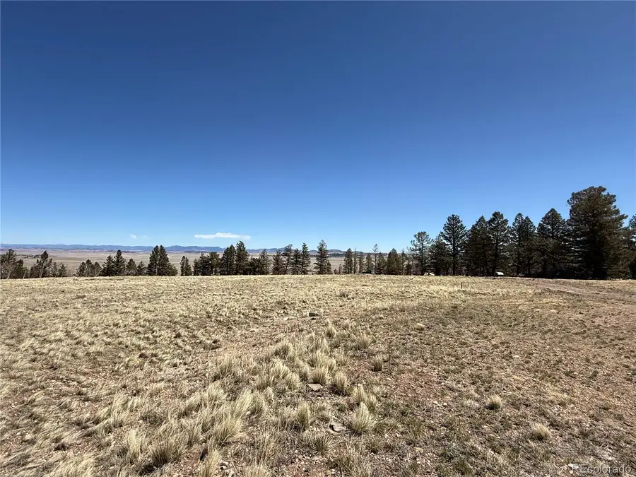197 Baler Court, Hartsel, CO 80449 - #3