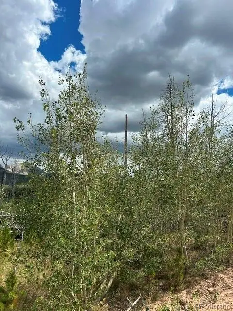 Block One (1), Lot Eighteen (18), Paradise Acres S, La Veta, CO 81055 - #2