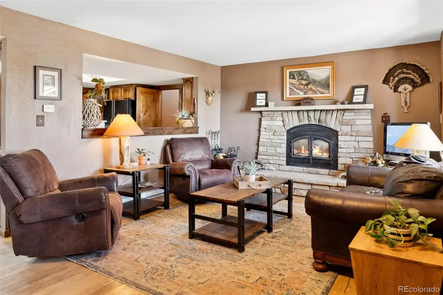 96 County Road 7, Fairplay, CO 80440 - #3