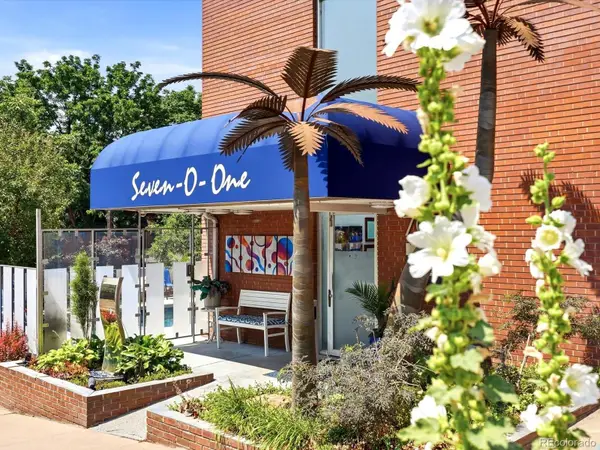 701 N Pearl Street #103, Denver, CO 80203