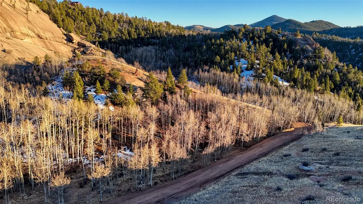 524 Buckhorn Road, Cripple Creek, CO 80813 - #1