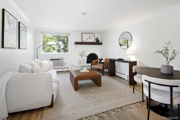 1125 N Washington Street #307, Denver, CO 80203