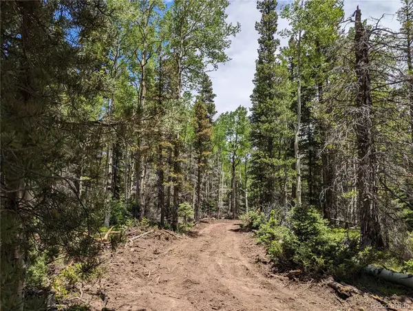 2904 Henderson Drive, Fort Garland, CO 81133