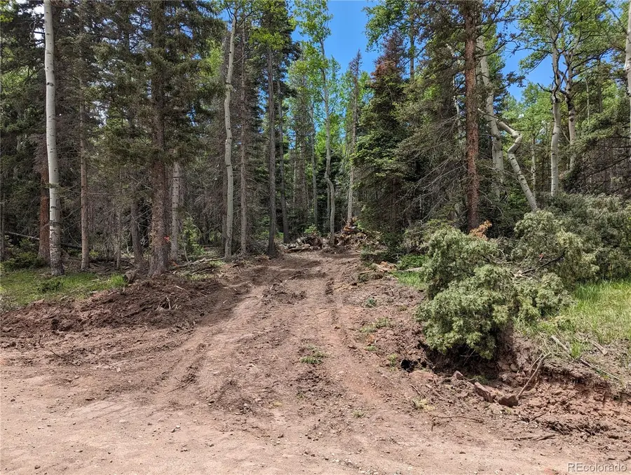 2904 Henderson Drive, Fort Garland, CO 81133 - #2