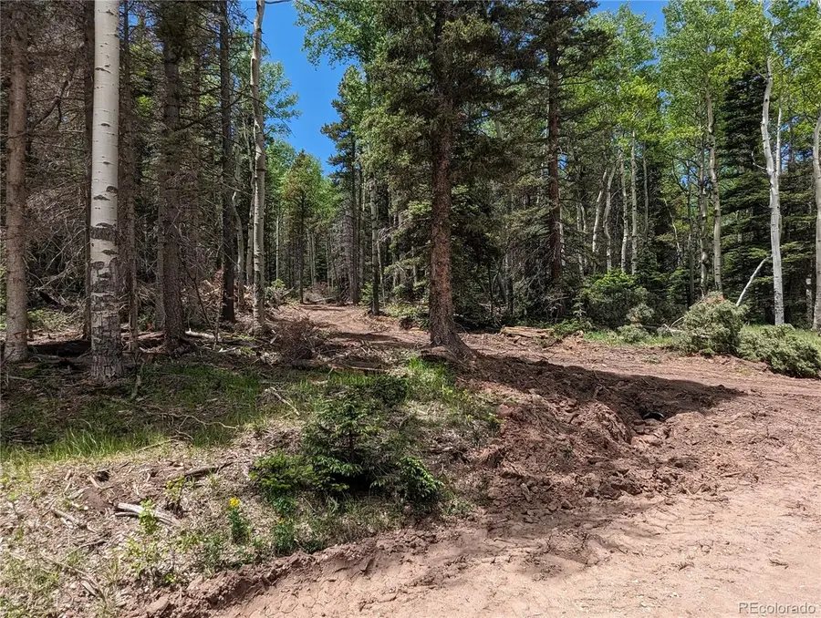 2904 Henderson Drive, Fort Garland, CO 81133 - #3