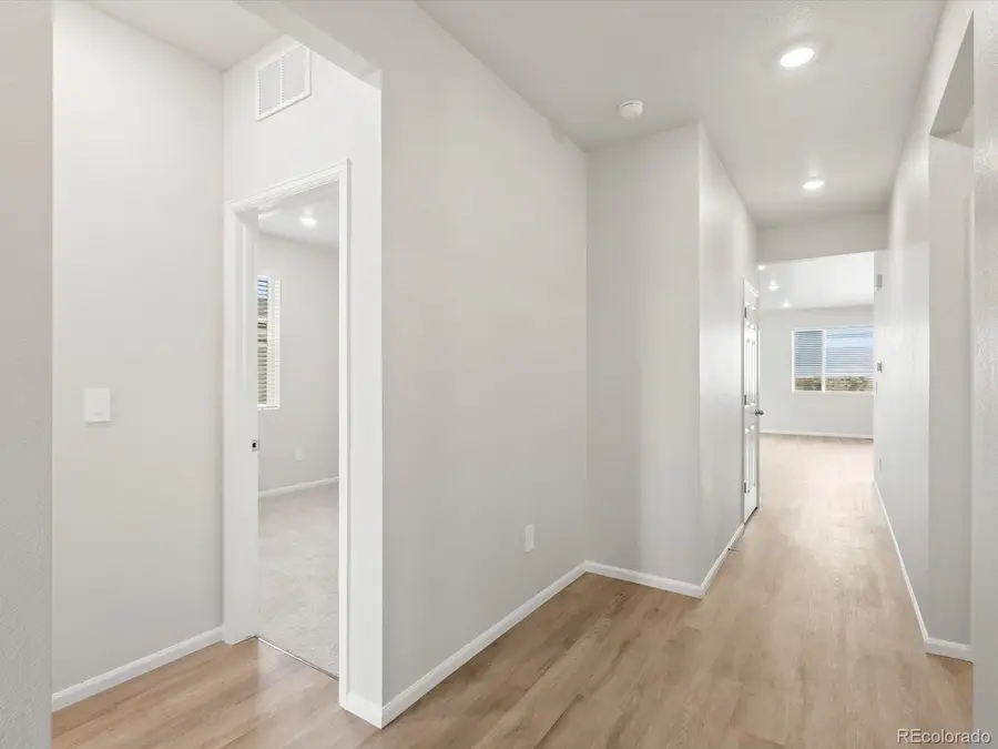 1242 Spring Creek Drive, Windsor, CO 80550 - #2