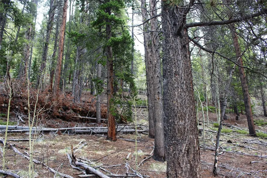 01 Broomfeild Gulch Road, Black Hawk, CO 80422 - #2