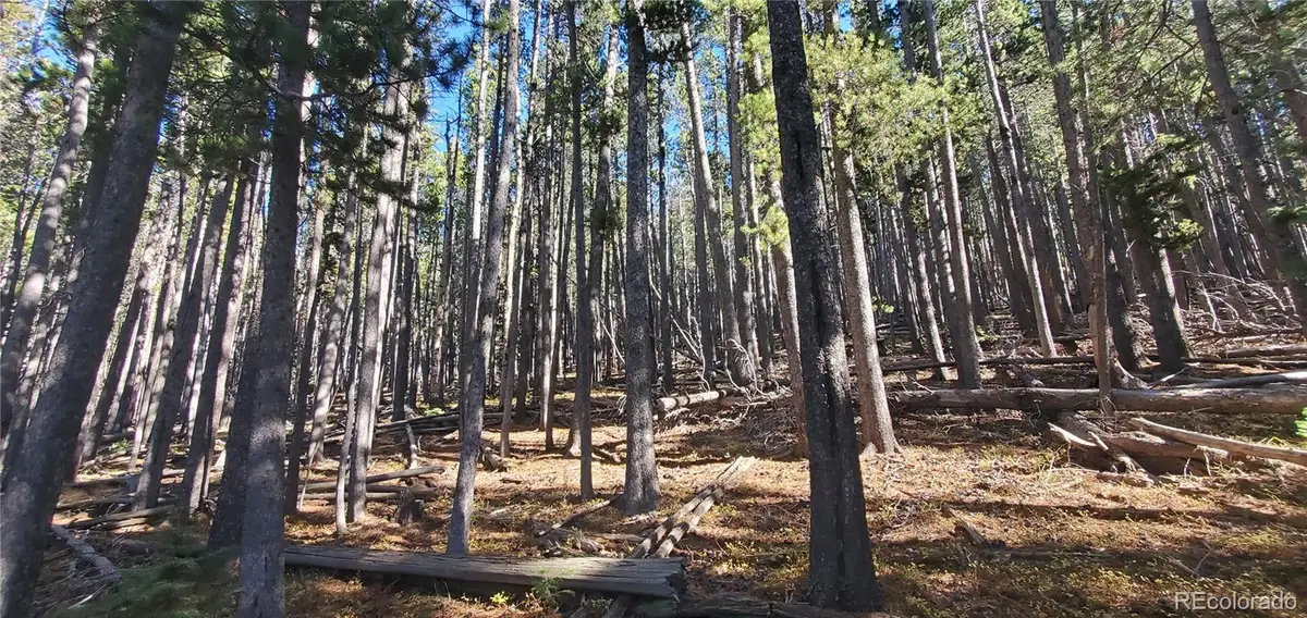 Lot 2682 & 2683 Purnell Lane, Fort Garland, CO 81133 - Image #1