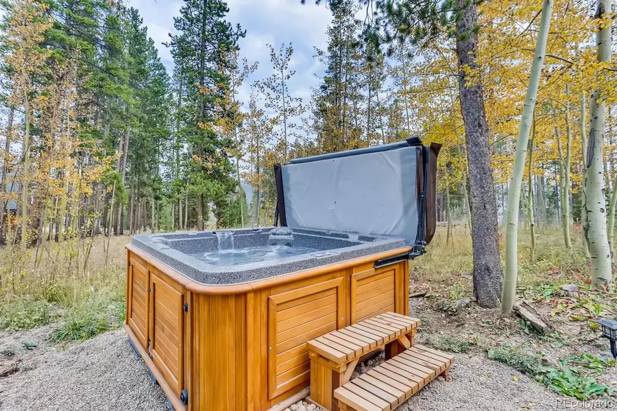 689 American Way, Breckenridge, CO 80424 - #2