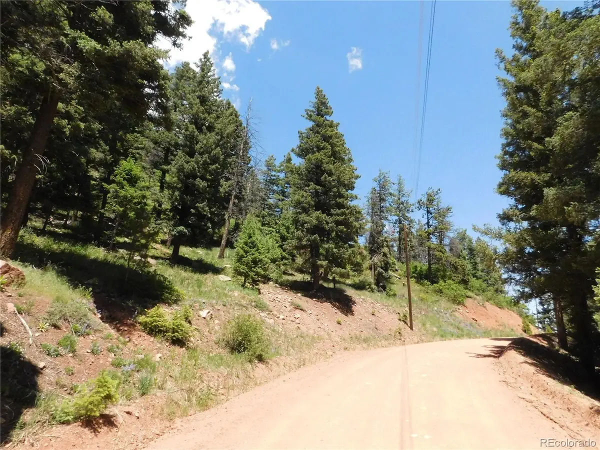 13524 Woodmoor West Drive, Larkspur, CO 80118 - #1