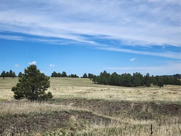 13753 Hawkeye Road, Kiowa, CO 80117