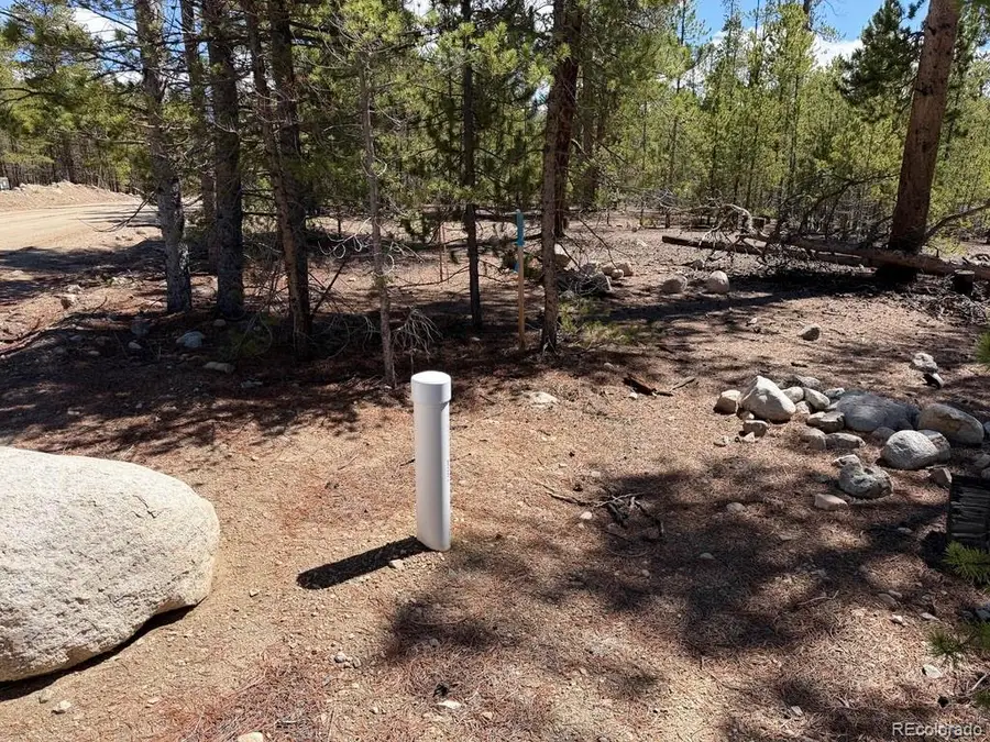 360 Peak View Drive, Leadville, CO 80461 - #3