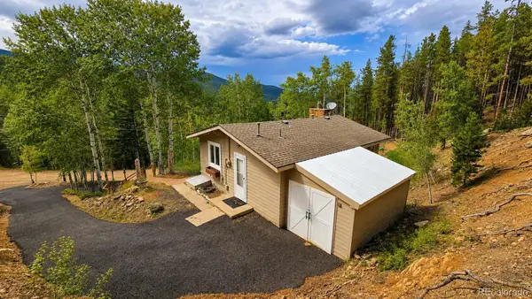 8680 London Lane, Conifer, CO 80433