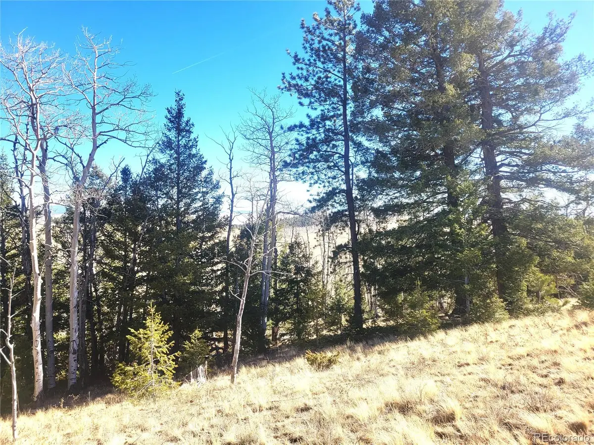 8802 Ranch Road, Hartsel, CO 80449 - #1