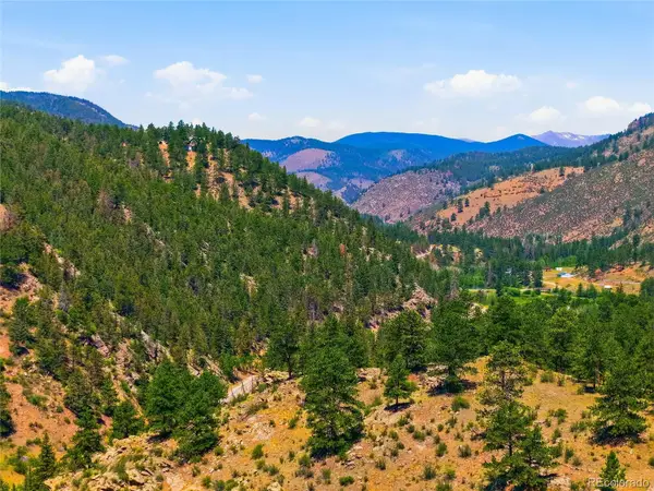 61 Cline Drive, Shawnee, CO 80475