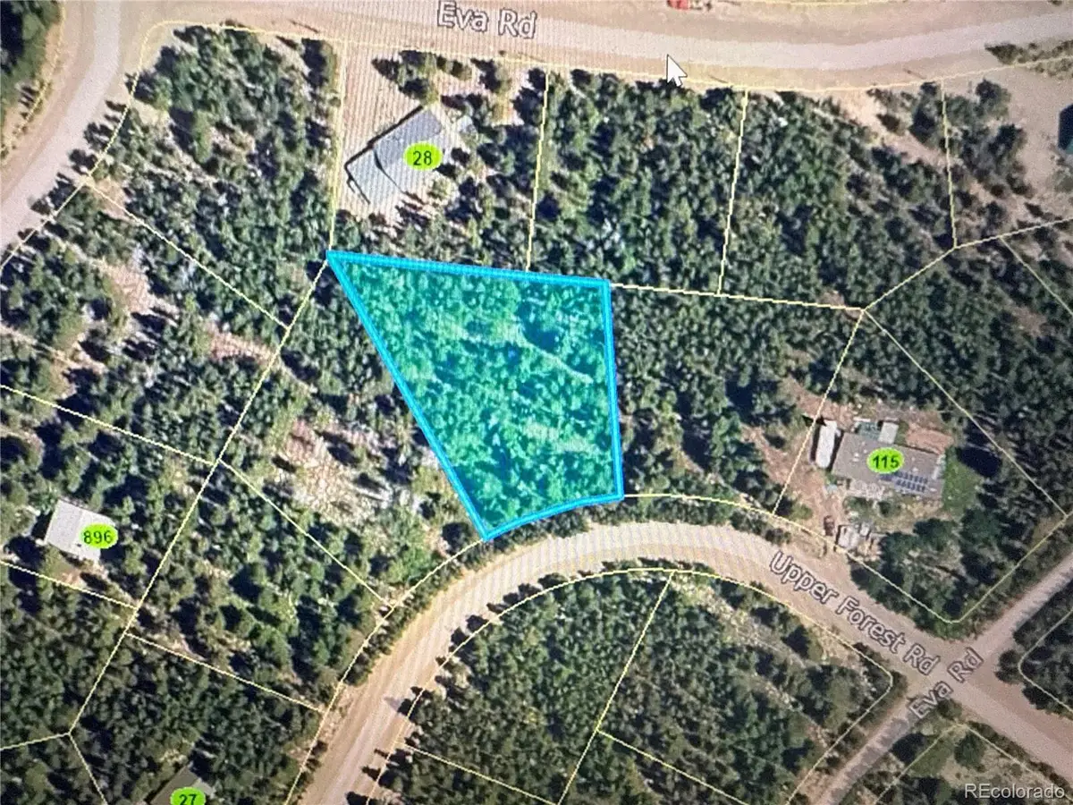 1010 Upper Forest Road, Idaho Springs, CO 80452 - Image #1