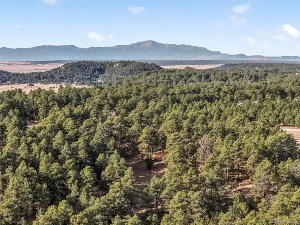 18230 Cumbres Court, Peyton, CO 80831