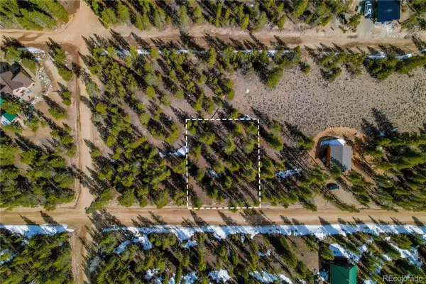 199 Birch Drive, Leadville, CO 80461