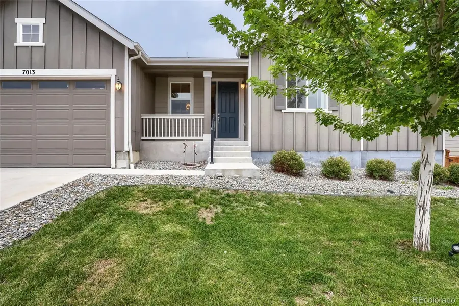 7013 Mentha Drive, Castle Rock, CO 80108 - #3