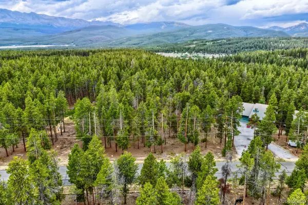 848 Baby Doe Drive, Leadville, CO 80461