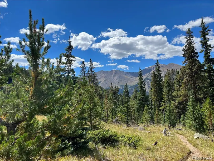 19518 Dauntless & Dauntless, Leadville, CO 81211 - #3