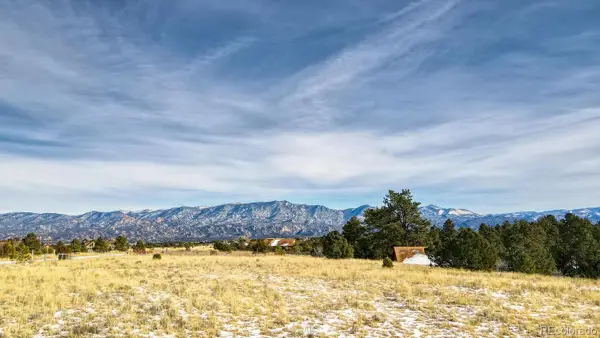 13584 County Road 261b, Nathrop, CO 81236