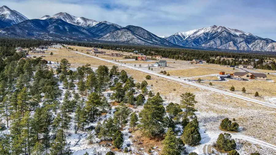 13584 County Road 261b, Nathrop, CO 81236 - #2