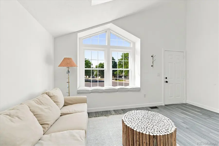 6446 Nassau Court, Highlands Ranch, CO 80130 - #3