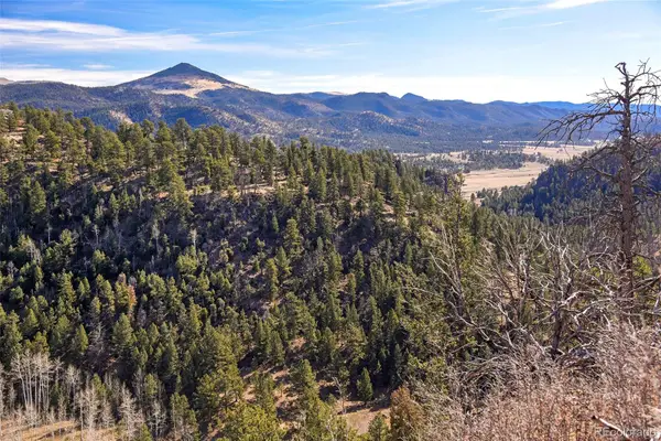 292 Chateau West Drive, Florissant, CO 80816