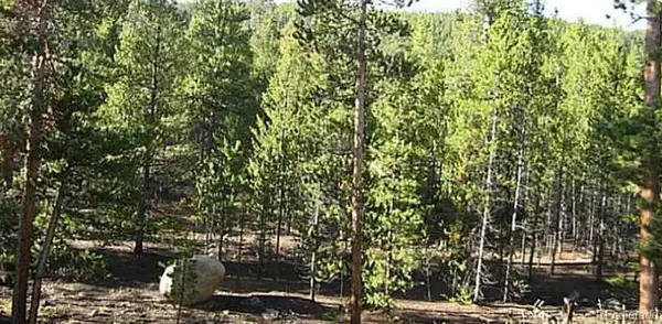 39 Glory Hole Road, Idaho Springs, CO 80452