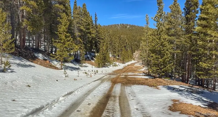 39 Glory Hole Road, Idaho Springs, CO 80452 - #3