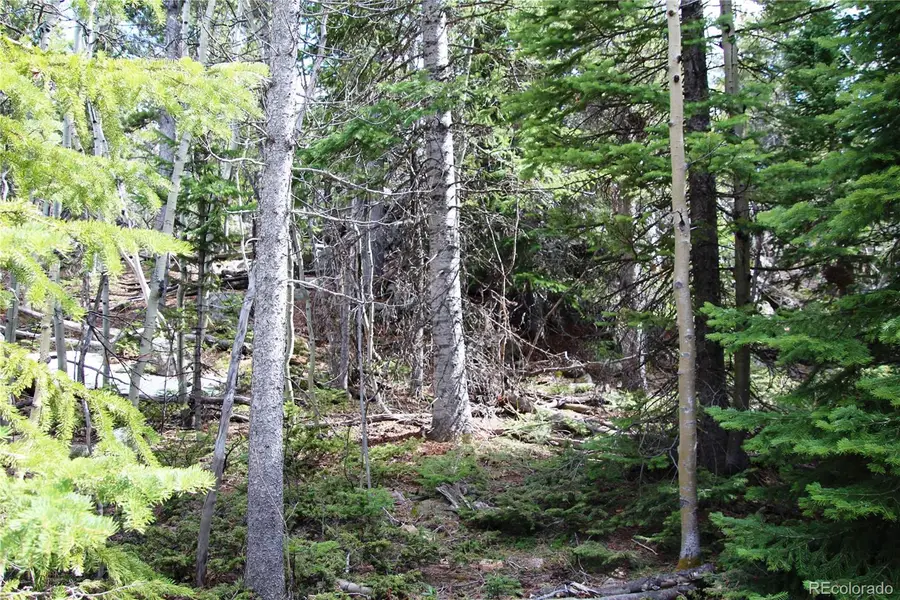 435 Aspen Road, Black Hawk, CO 80422 - #3