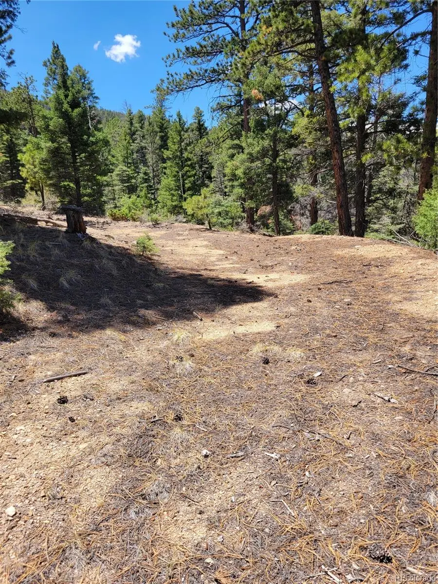 Lots 2716 & 2717 Sesame Road, Fort Garland, CO 81133 - #2