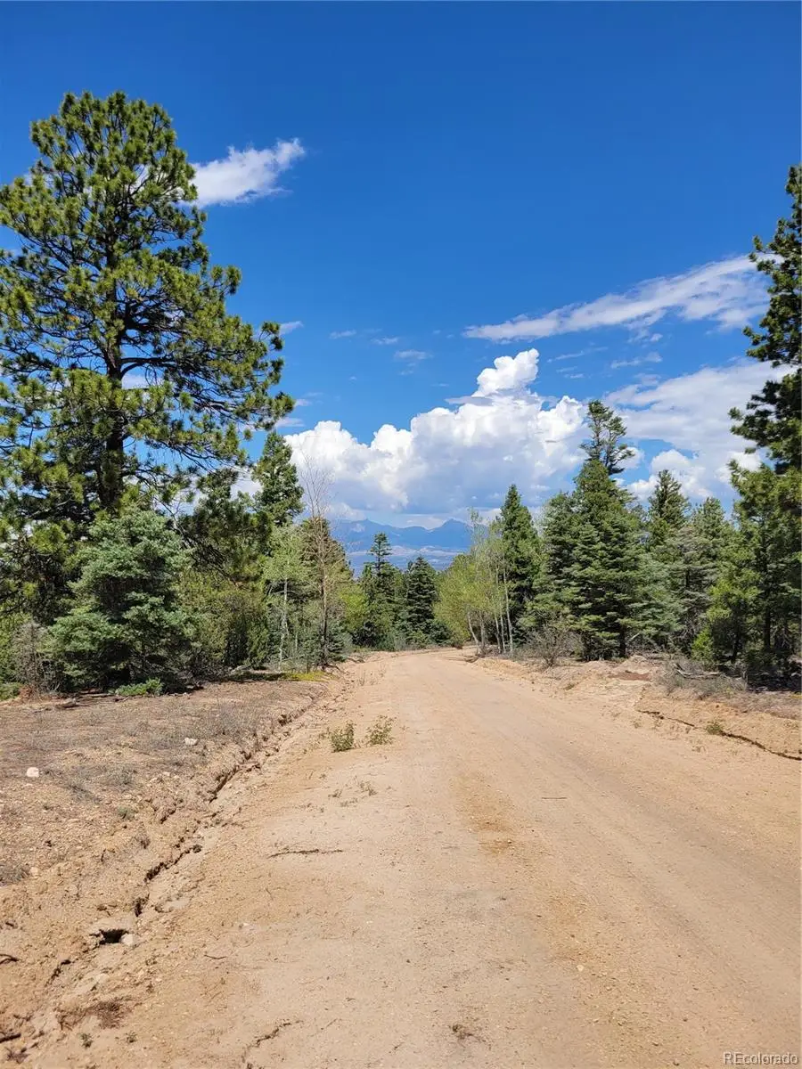 Lots 2716 & 2717 Sesame Road, Fort Garland, CO 81133 - #3