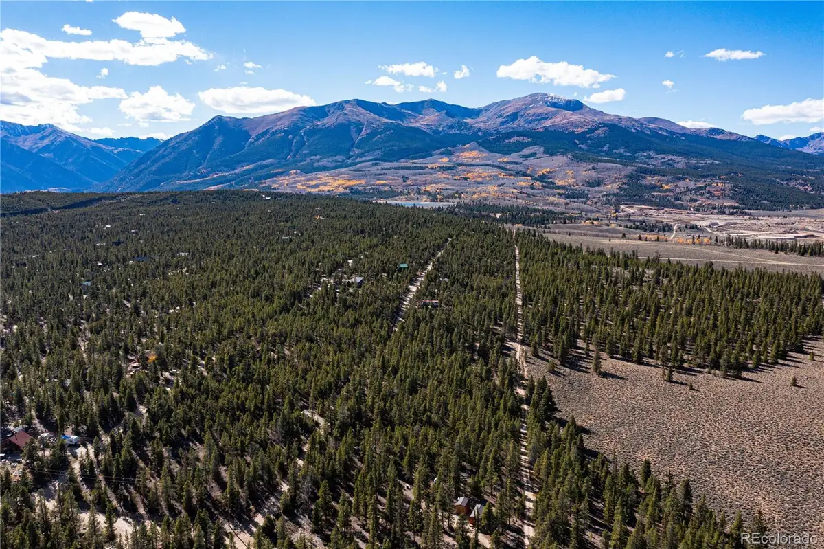 66 Ponderosa Drive, Leadville, CO 80461 - #1