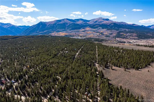 66 Ponderosa Drive, Leadville, CO 80461