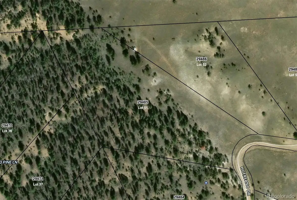 509 Huerfano Drive, Hartsel, CO 80449 - #1