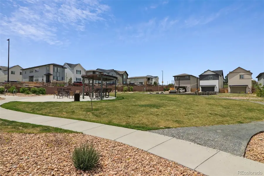 10534 Oncilla Lane, Lone Tree, CO 80124 - #2