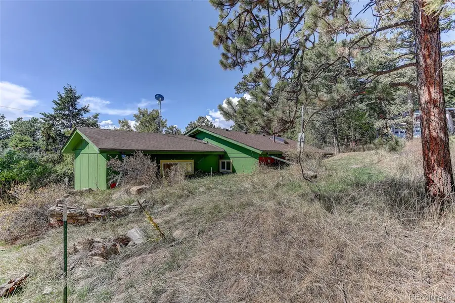 25561 Mosier, Conifer, CO 80433 - #3