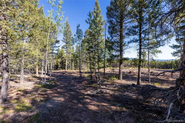 30894 Forest Shadow Trail, Conifer, CO 80433