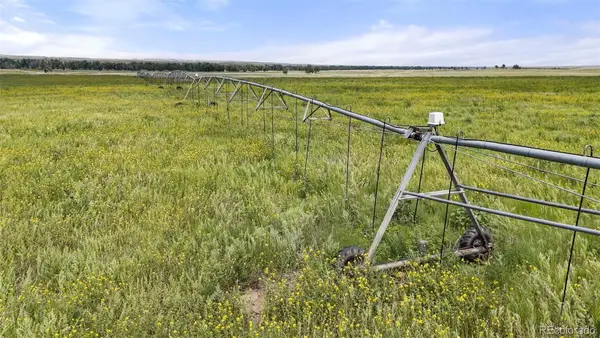 0 Resolis Road, Matheson, CO 80830
